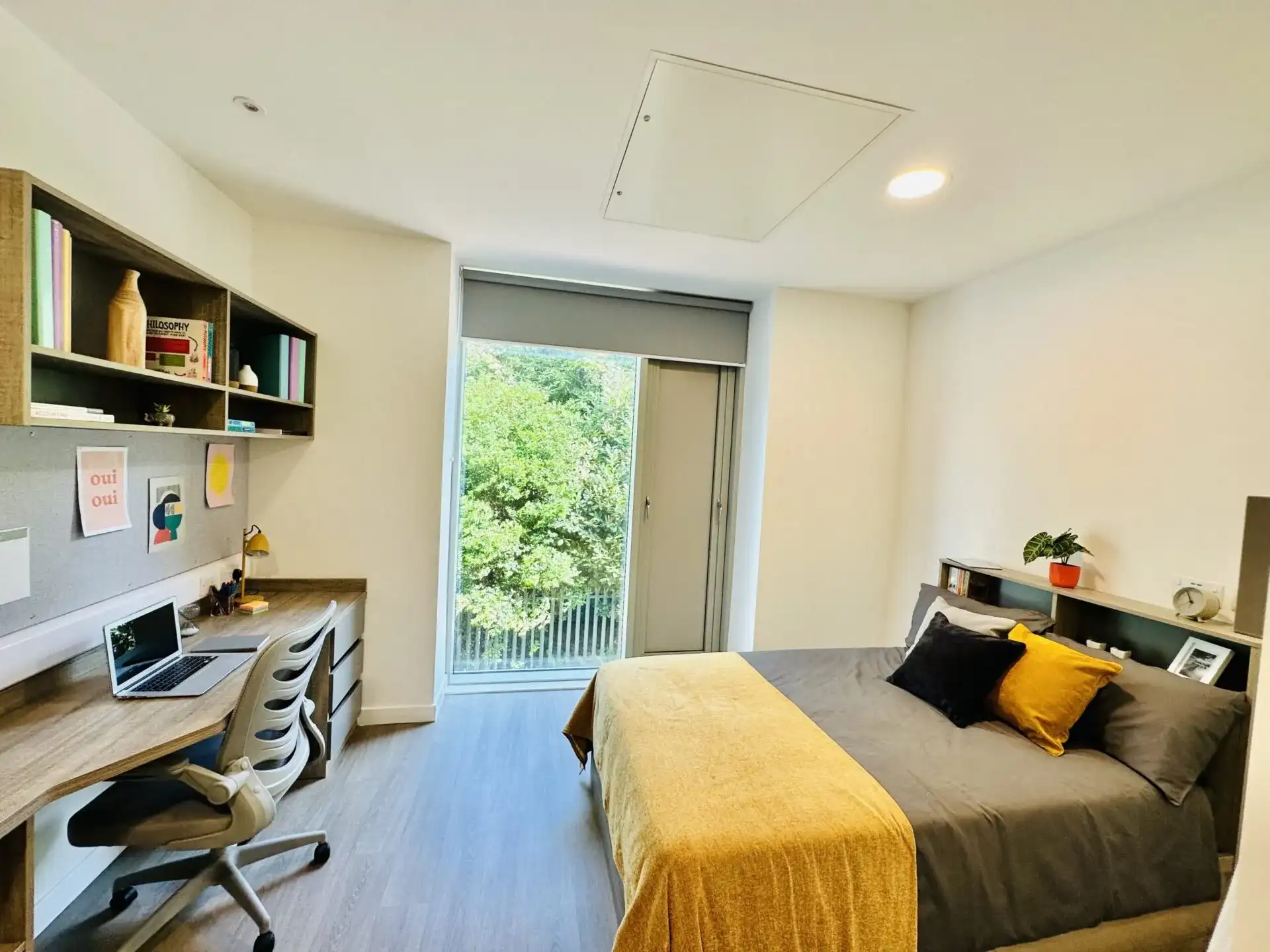 Albany Student Village photo
