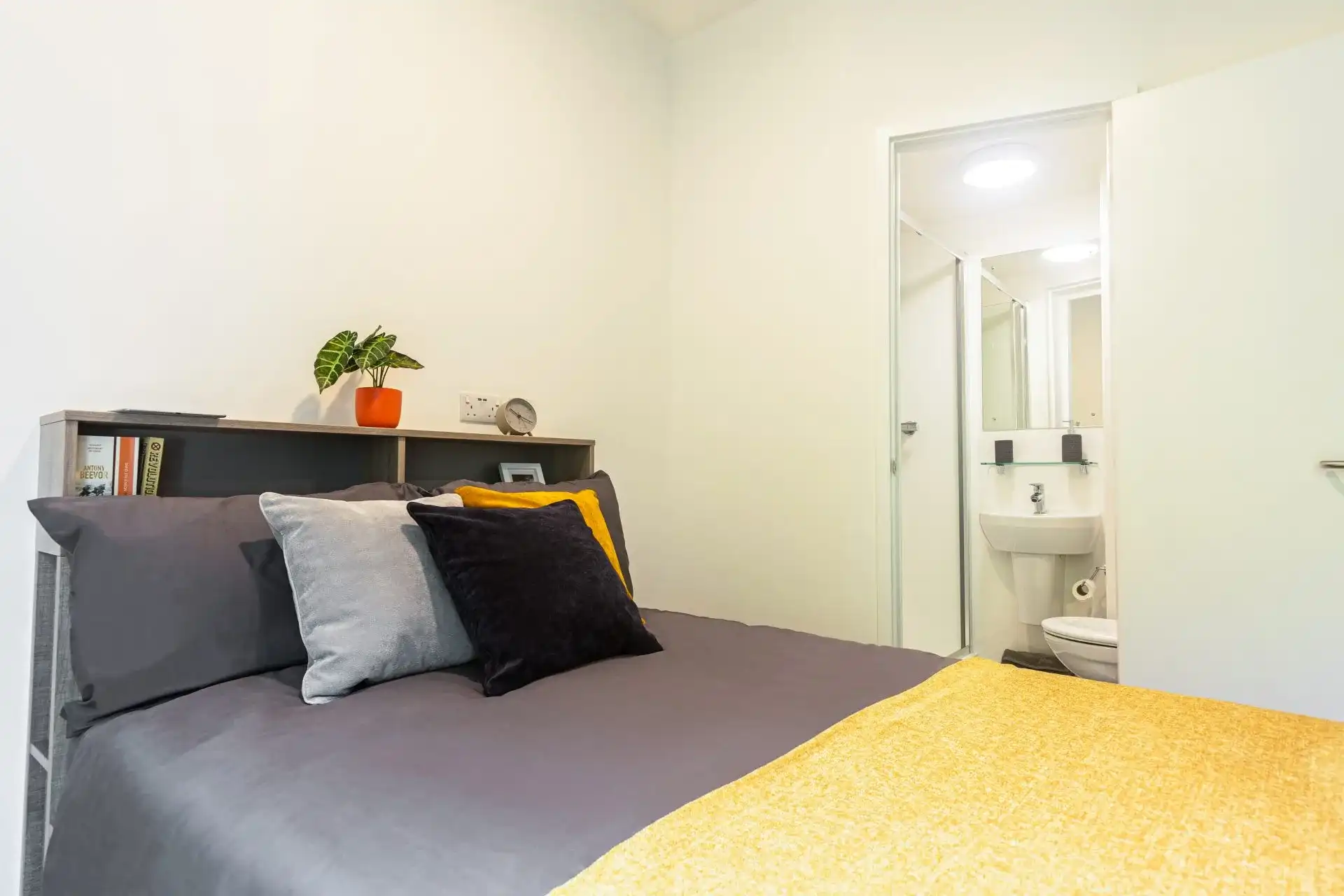 Albany Student Village photo