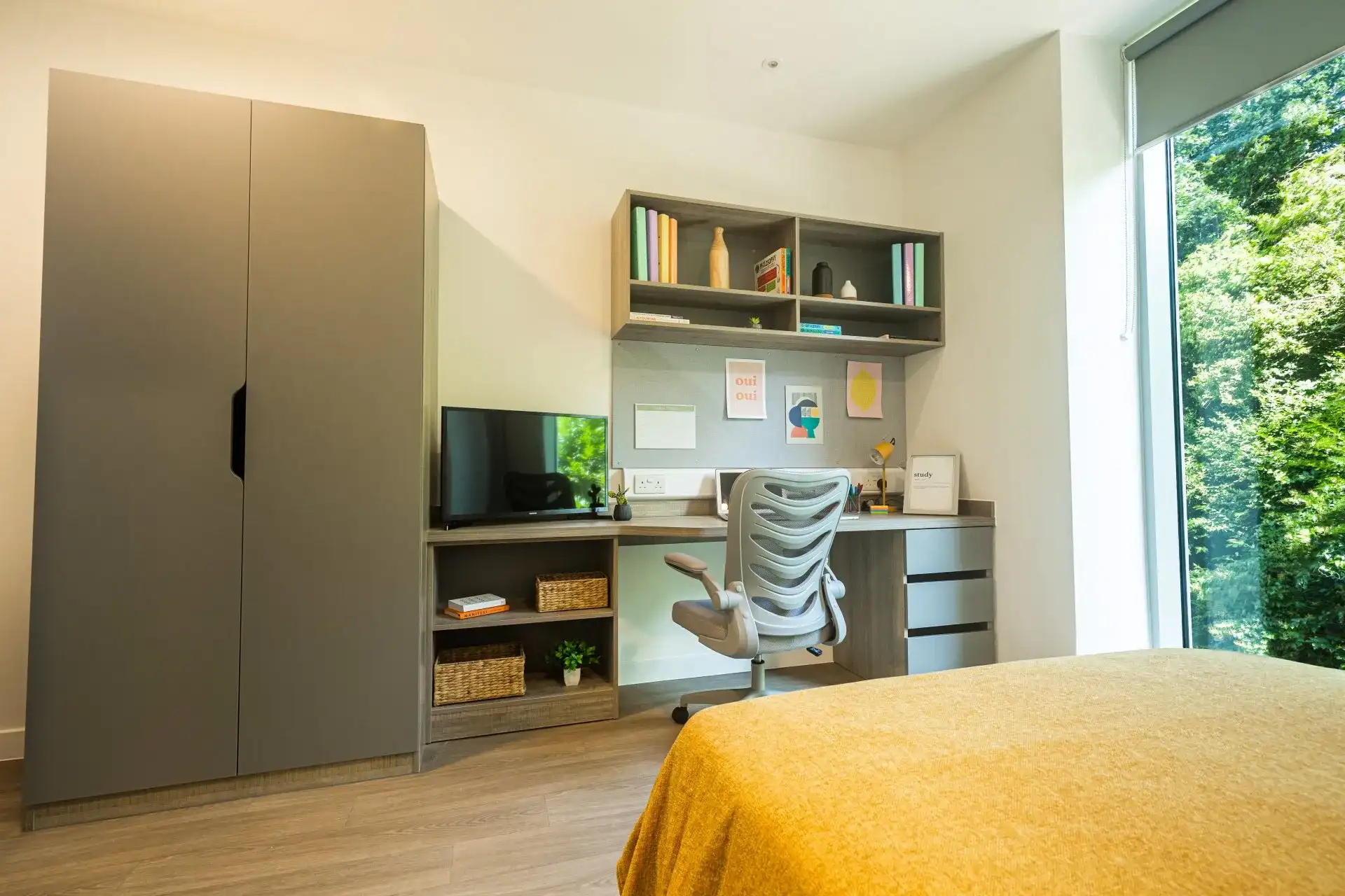 Albany Student Village photo