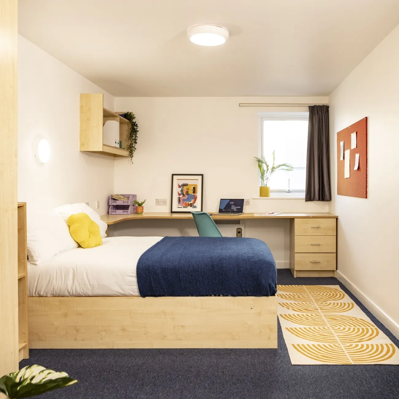 Albert Court photo