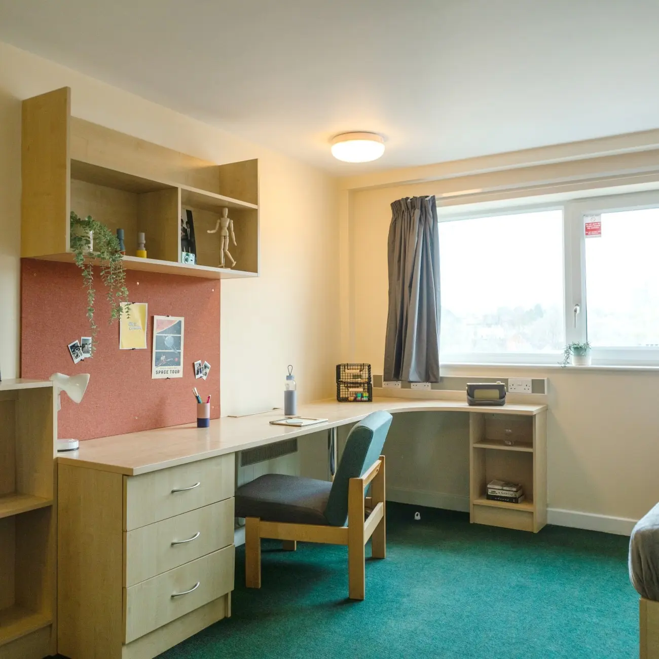 Belgrave View photo